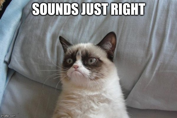 Grumpy Cat Bed Meme | SOUNDS JUST RIGHT | image tagged in memes,grumpy cat bed,grumpy cat | made w/ Imgflip meme maker