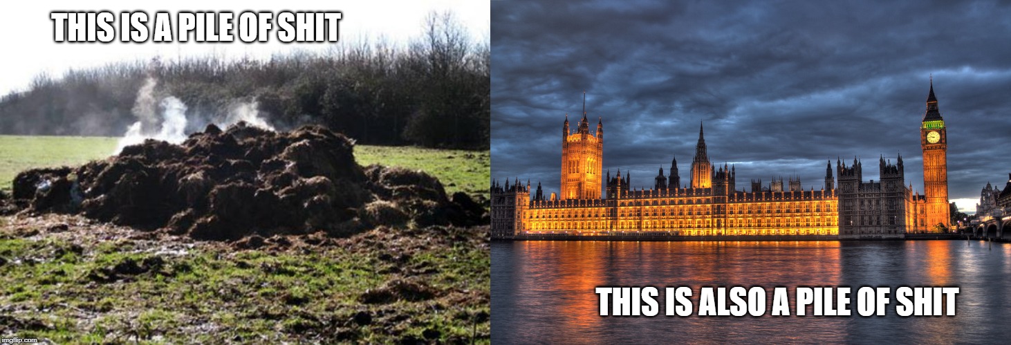 THIS IS A PILE OF SHIT; THIS IS ALSO A PILE OF SHIT | image tagged in steaming pile of shit,houses of parliament | made w/ Imgflip meme maker