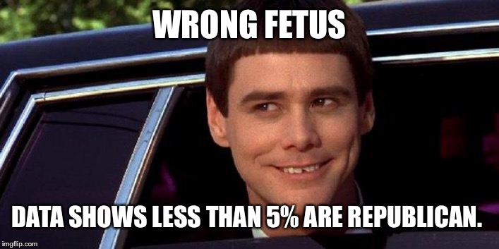 dumb and dumber | WRONG FETUS DATA SHOWS LESS THAN 5% ARE REPUBLICAN. | image tagged in dumb and dumber | made w/ Imgflip meme maker