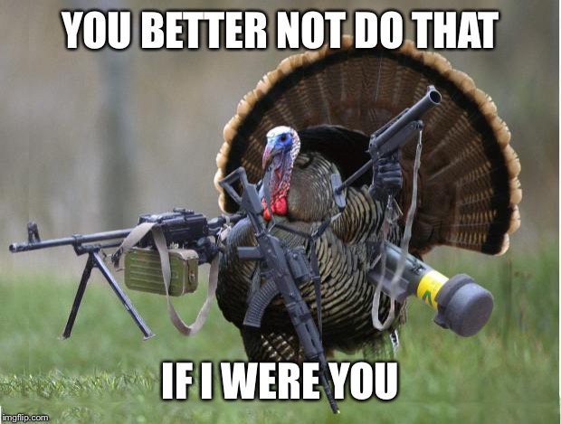 turkey | YOU BETTER NOT DO THAT IF I WERE YOU | image tagged in turkey | made w/ Imgflip meme maker