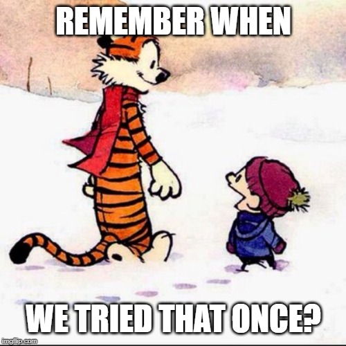 Calvin and Hobbes, Snow thoughtful talking | REMEMBER WHEN WE TRIED THAT ONCE? | image tagged in calvin and hobbes snow thoughtful talking | made w/ Imgflip meme maker