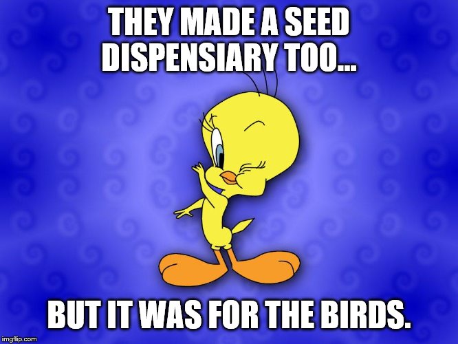 Tweety bird | THEY MADE A SEED DISPENSIARY TOO... BUT IT WAS FOR THE BIRDS. | image tagged in tweety bird | made w/ Imgflip meme maker