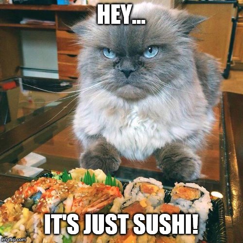 No Sushi For You! | HEY... IT'S JUST SUSHI! | image tagged in no sushi for you | made w/ Imgflip meme maker
