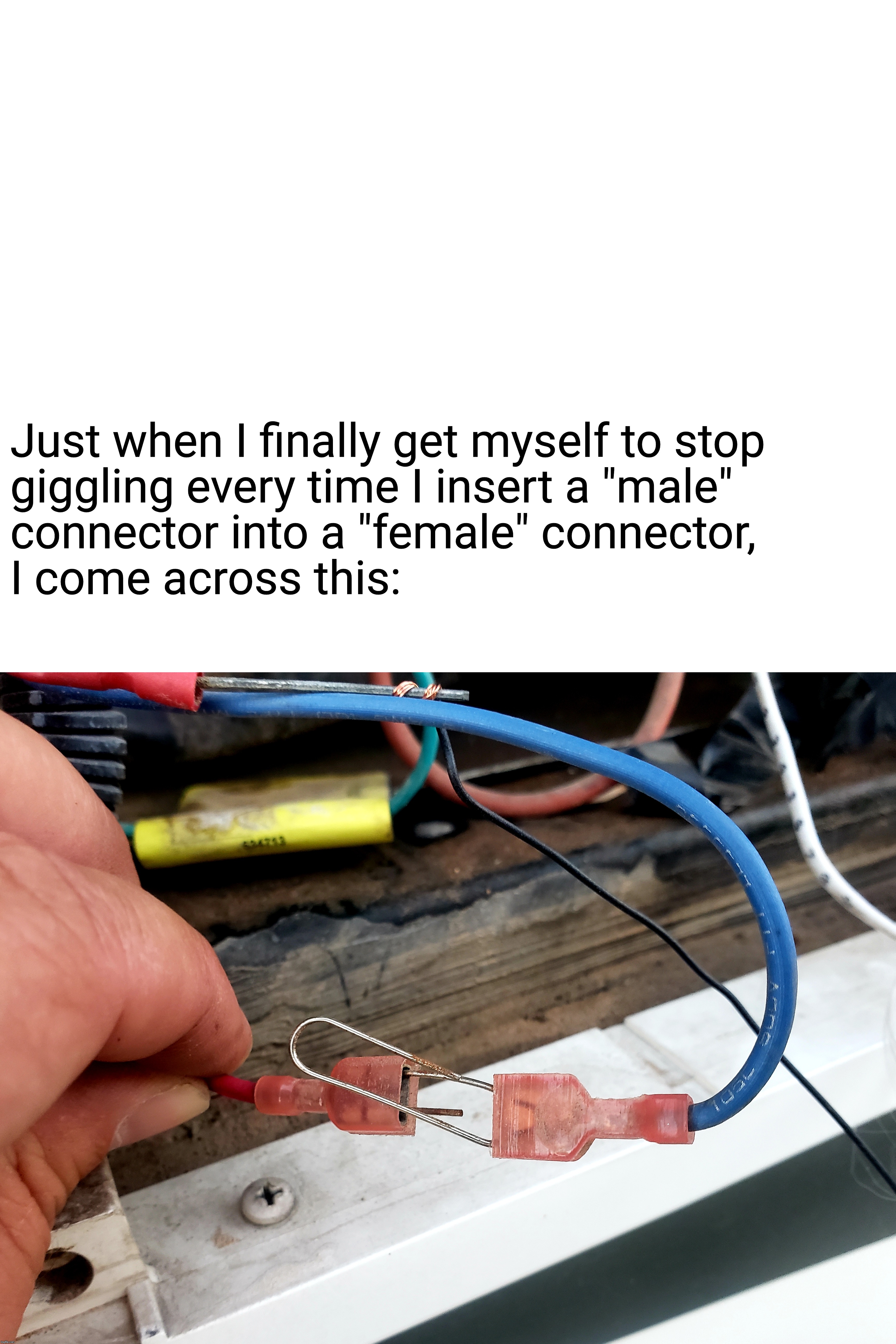 NSFW (not safe for work) | Just when I finally get myself to stop
giggling every time I insert a "male"
connector into a "female" connector, 
I come across this: | image tagged in double,dildo,love is love,electronic arts | made w/ Imgflip meme maker