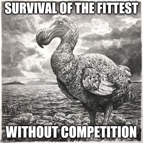 SURVIVAL OF THE FITTEST WITHOUT COMPETITION | made w/ Imgflip meme maker