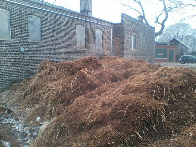 High Quality Manure Pile Blank Meme Template