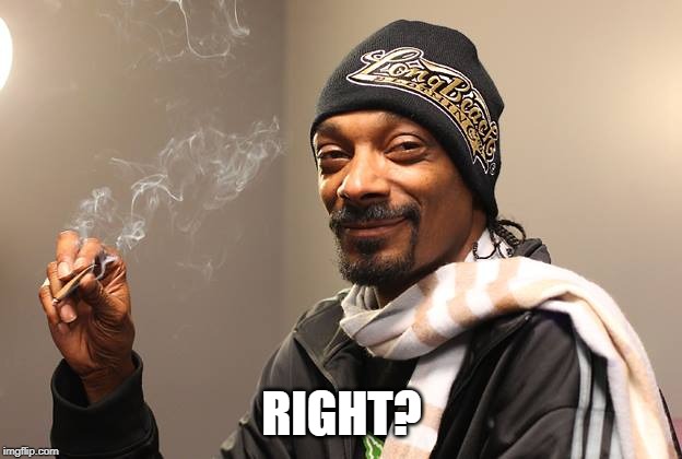 Snoop Dogg | RIGHT? | image tagged in snoop dogg | made w/ Imgflip meme maker