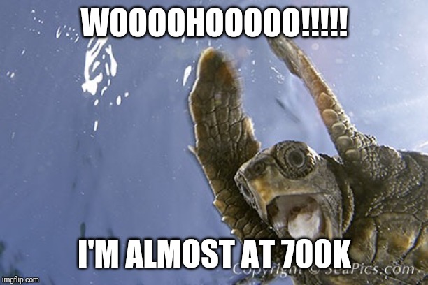 WooHoo turtle  | WOOOOHOOOOO!!!!! I'M ALMOST AT 700K | image tagged in woohoo turtle | made w/ Imgflip meme maker