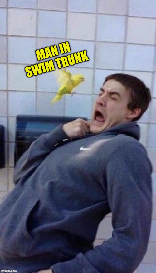 Canary dodge | MAN IN SWIM TRUNK | image tagged in canary dodge | made w/ Imgflip meme maker