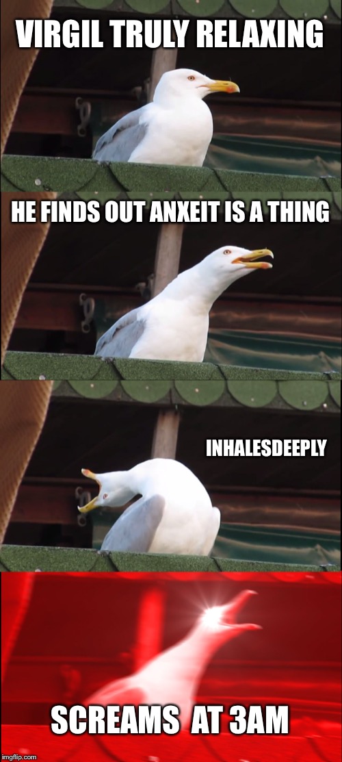 Inhaling Seagull Meme | VIRGIL TRULY RELAXING; HE FINDS OUT ANXEIT IS A THING; INHALESDEEPLY; SCREAMS  AT 3AM | image tagged in memes,inhaling seagull | made w/ Imgflip meme maker
