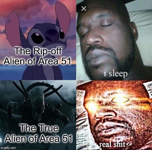 Sleeping Shaq | The Rip-off Alien of Area 51; The True Alien of Area 51 | image tagged in memes,sleeping shaq | made w/ Imgflip meme maker