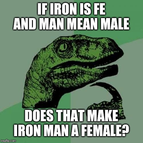 Philosoraptor Meme | IF IRON IS FE AND MAN MEAN MALE; DOES THAT MAKE IRON MAN A FEMALE? | image tagged in memes,philosoraptor | made w/ Imgflip meme maker