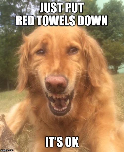 Awkward smiling doge | JUST PUT RED TOWELS DOWN IT’S OK | image tagged in awkward smiling doge | made w/ Imgflip meme maker