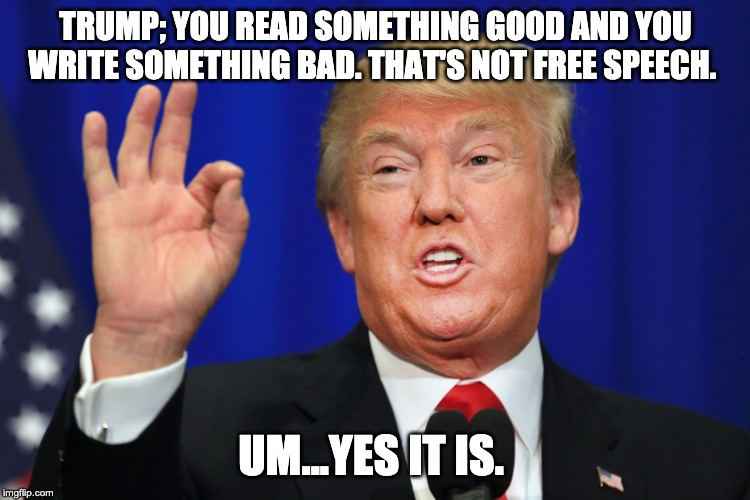 The Best Trump | TRUMP; YOU READ SOMETHING GOOD AND YOU WRITE SOMETHING BAD. THAT'S NOT FREE SPEECH. UM...YES IT IS. | image tagged in the best trump | made w/ Imgflip meme maker