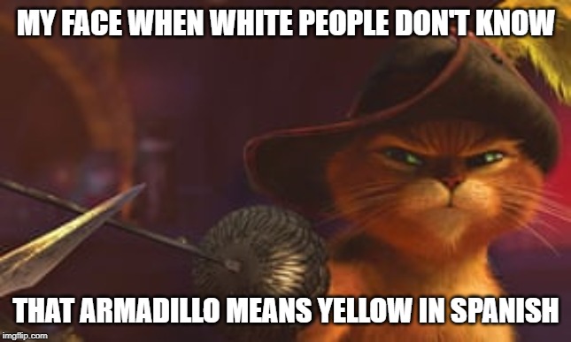 MY FACE WHEN WHITE PEOPLE DON'T KNOW; THAT ARMADILLO MEANS YELLOW IN SPANISH | image tagged in memes,funny,spanish,cats | made w/ Imgflip meme maker