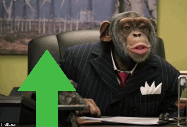 monkey bush | image tagged in monkey bush | made w/ Imgflip meme maker