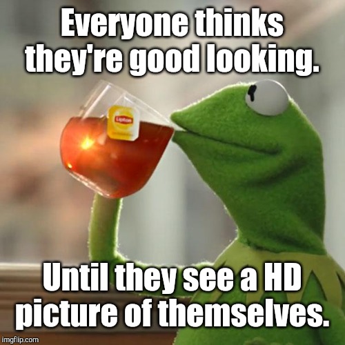 But That's None Of My Business | Everyone thinks they're good looking. Until they see a HD picture of themselves. | image tagged in memes,but thats none of my business,kermit the frog | made w/ Imgflip meme maker