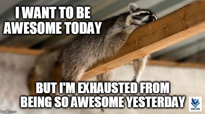 Or maybe it's just the heat | I WANT TO BE AWESOME TODAY; BUT I'M EXHAUSTED FROM BEING SO AWESOME YESTERDAY | image tagged in awesome,awesome today,exhausted | made w/ Imgflip meme maker