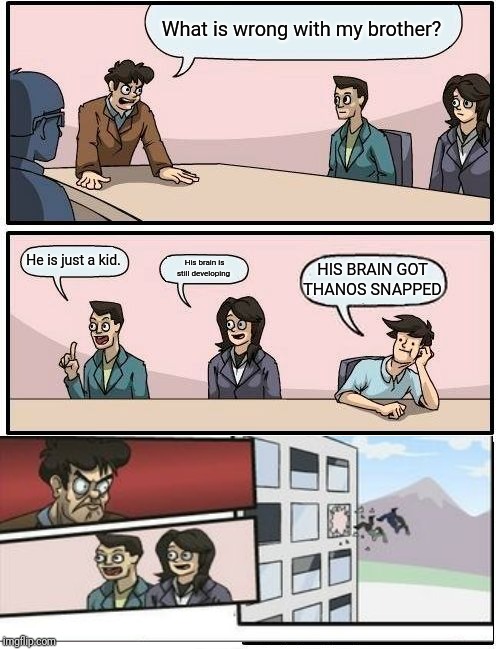 Boardroom Meeting Suggestion Meme | What is wrong with my brother? He is just a kid. His brain is still developing HIS BRAIN GOT THANOS SNAPPED | image tagged in memes,boardroom meeting suggestion | made w/ Imgflip meme maker