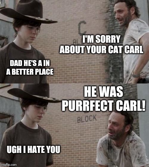 Rick and Carl Meme | I'M SORRY ABOUT YOUR CAT CARL; DAD HE'S A IN A BETTER PLACE; HE WAS PURRFECT CARL! UGH I HATE YOU | image tagged in memes,rick and carl,cats | made w/ Imgflip meme maker