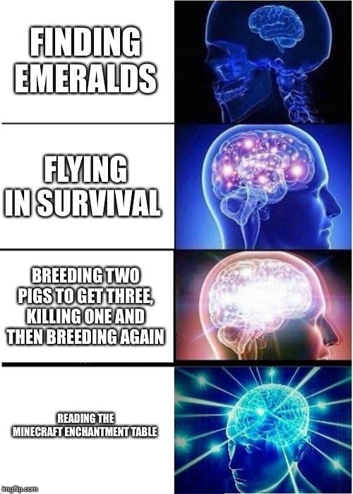 Expanding Brain | FINDING EMERALDS; FLYING IN SURVIVAL; BREEDING TWO PIGS TO GET THREE, KILLING ONE AND THEN BREEDING AGAIN; READING THE MINECRAFT ENCHANTMENT TABLE | image tagged in memes,expanding brain | made w/ Imgflip meme maker