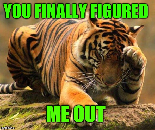 Tiger (face palm) | YOU FINALLY FIGURED ME OUT | image tagged in tiger face palm | made w/ Imgflip meme maker