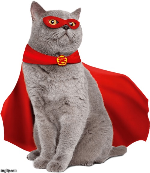Super cat! | image tagged in super cat | made w/ Imgflip meme maker