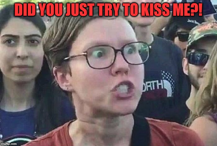 meme angry woman | DID YOU JUST TRY TO KISS ME?! | image tagged in meme angry woman | made w/ Imgflip meme maker