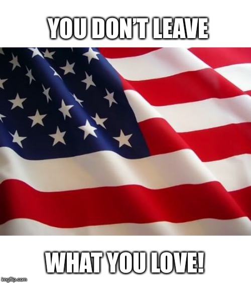 American flag | YOU DON’T LEAVE; WHAT YOU LOVE! | image tagged in american flag | made w/ Imgflip meme maker