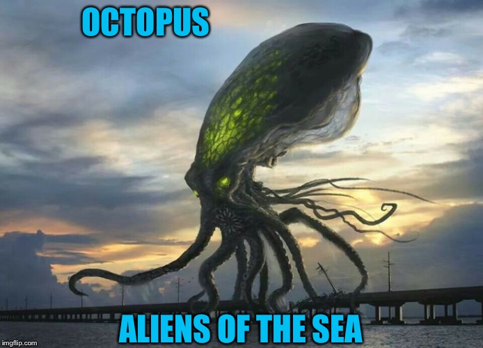 Glowing Octopus | OCTOPUS; ALIENS OF THE SEA | image tagged in glowing octopus | made w/ Imgflip meme maker