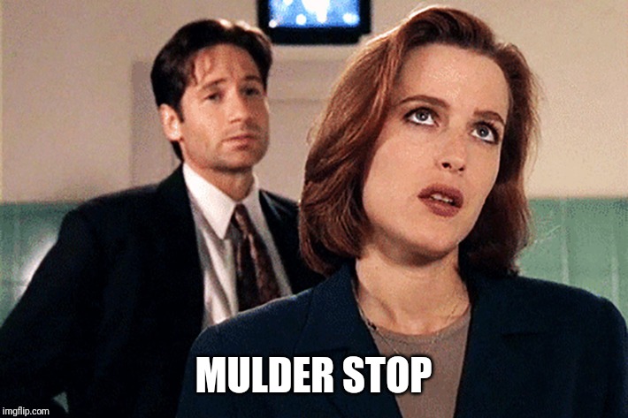 Scully | MULDER STOP | image tagged in scully | made w/ Imgflip meme maker