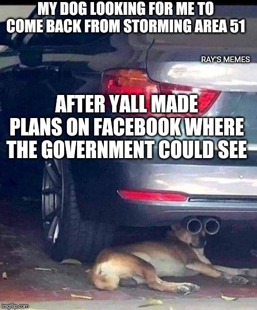 Area 51 | MY DOG LOOKING FOR ME TO COME BACK FROM STORMING AREA 51; RAY'S MEMES; AFTER YALL MADE PLANS ON FACEBOOK WHERE THE GOVERNMENT COULD SEE | image tagged in area 51 | made w/ Imgflip meme maker