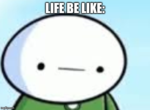 Life is a wonder!! | LIFE BE LIKE: | image tagged in funny | made w/ Imgflip meme maker