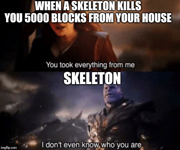 You took everything from me - I don't even know who you are | WHEN A SKELETON KILLS YOU 5000 BLOCKS FROM YOUR HOUSE; SKELETON | image tagged in you took everything from me - i don't even know who you are | made w/ Imgflip meme maker