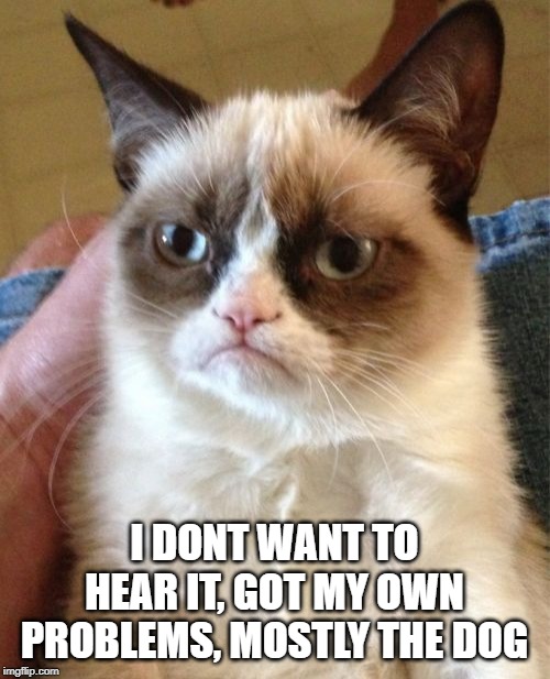 Grumpy Cat Meme | I DONT WANT TO HEAR IT, GOT MY OWN PROBLEMS, MOSTLY THE DOG | image tagged in memes,grumpy cat | made w/ Imgflip meme maker