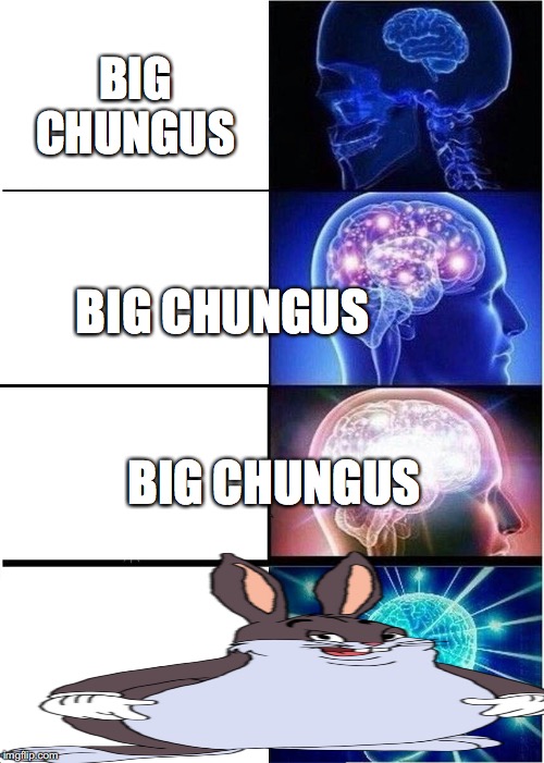 Expanding Brain | BIG CHUNGUS; BIG CHUNGUS; BIG CHUNGUS | image tagged in memes,expanding brain,mememakermemes | made w/ Imgflip meme maker