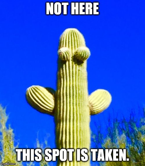 Huggy Cactus  | NOT HERE THIS SPOT IS TAKEN. | image tagged in huggy cactus | made w/ Imgflip meme maker