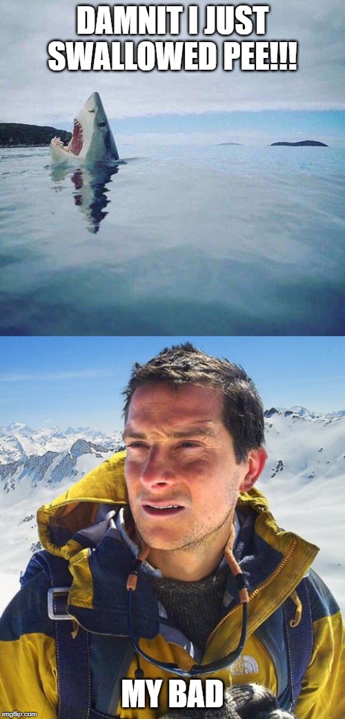 A Shark and a Bear | DAMNIT I JUST SWALLOWED PEE!!! MY BAD | image tagged in memes,bear grylls,shark_head_out_of_water | made w/ Imgflip meme maker