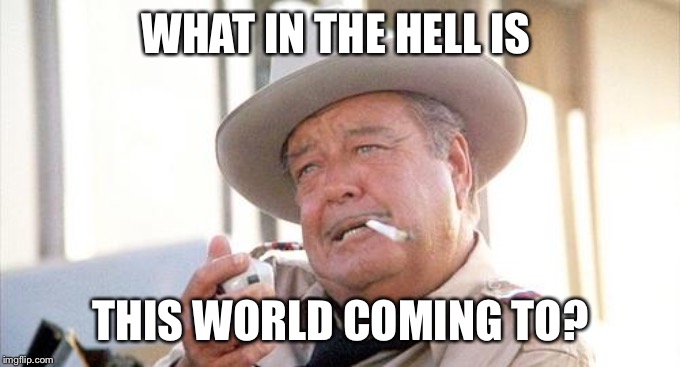 Buford T Justice | WHAT IN THE HELL IS; THIS WORLD COMING TO? | image tagged in buford t justice | made w/ Imgflip meme maker