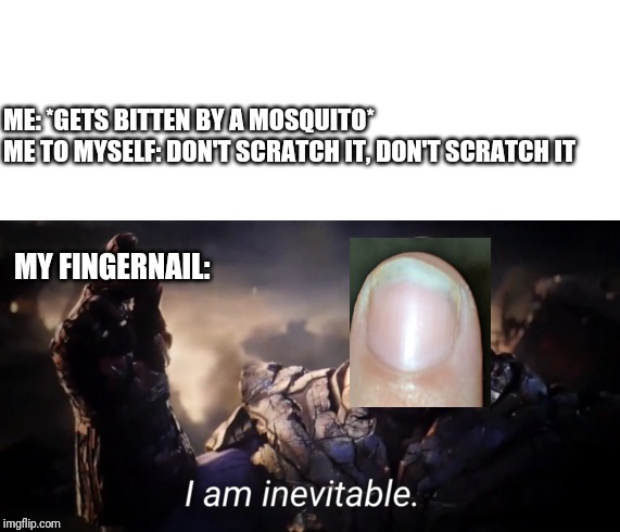 ME: *GETS BITTEN BY A MOSQUITO*
ME TO MYSELF: DON'T SCRATCH IT, DON'T SCRATCH IT; MY FINGERNAIL: | image tagged in i am inevitable | made w/ Imgflip meme maker