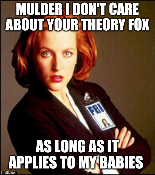 Scully | MULDER I DON'T CARE ABOUT YOUR THEORY FOX; AS LONG AS IT APPLIES TO MY BABIES | image tagged in scully | made w/ Imgflip meme maker