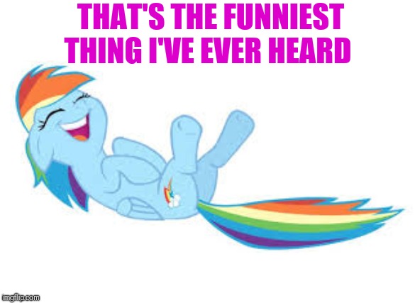 Rainbow Dash ROFL | THAT'S THE FUNNIEST THING I'VE EVER HEARD | image tagged in rainbow dash rofl | made w/ Imgflip meme maker