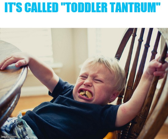 Toddler Tantrum | IT'S CALLED "TODDLER TANTRUM" | image tagged in toddler tantrum | made w/ Imgflip meme maker