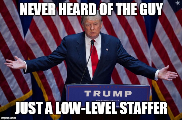 Donald Trump | NEVER HEARD OF THE GUY JUST A LOW-LEVEL STAFFER | image tagged in donald trump | made w/ Imgflip meme maker