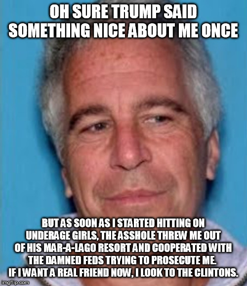 Epstein mugshot | OH SURE TRUMP SAID SOMETHING NICE ABOUT ME ONCE BUT AS SOON AS I STARTED HITTING ON UNDERAGE GIRLS, THE ASSHOLE THREW ME OUT OF HIS MAR-A-LA | image tagged in epstein mugshot | made w/ Imgflip meme maker