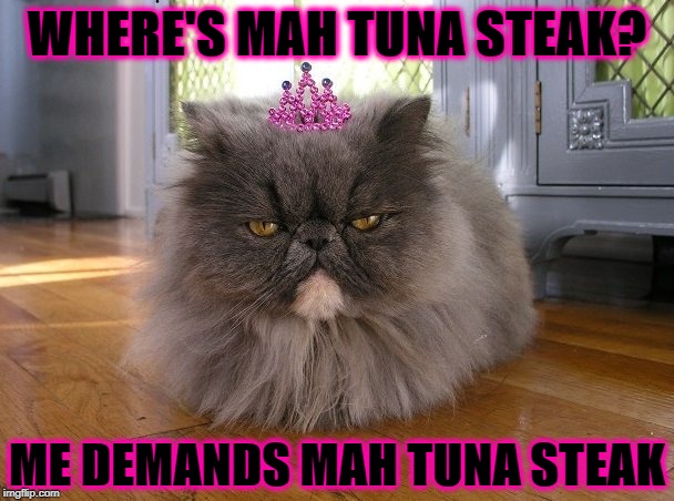 WHERE'S MAH TUNA | WHERE'S MAH TUNA STEAK? ME DEMANDS MAH TUNA STEAK | image tagged in where's mah tuna | made w/ Imgflip meme maker
