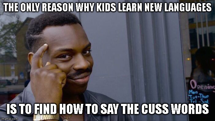 Roll Safe Think About It Meme | THE ONLY REASON WHY KIDS LEARN NEW LANGUAGES; IS TO FIND HOW TO SAY THE CUSS WORDS | image tagged in memes,roll safe think about it | made w/ Imgflip meme maker