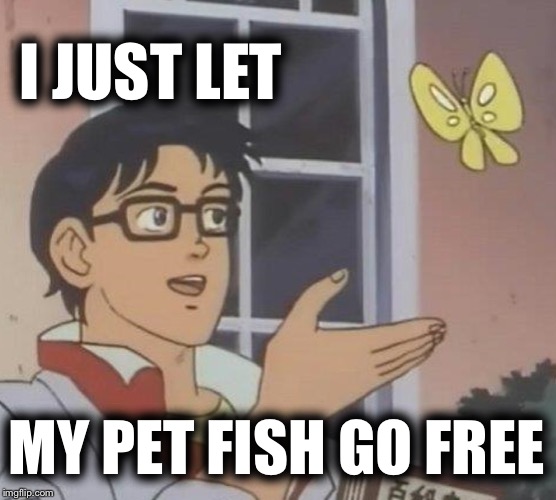 It was nice to give them a better life | I JUST LET; MY PET FISH GO FREE | image tagged in memes,is this a pigeon,first world problems,bad luck brian,scumbag,boardroom meeting suggestion | made w/ Imgflip meme maker