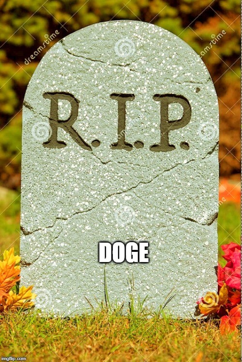 R.I.P. sm | DOGE | image tagged in rip sm | made w/ Imgflip meme maker