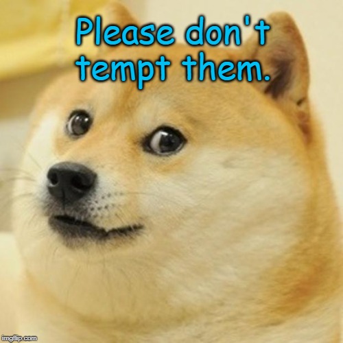 Doge Meme | Please don't tempt them. | image tagged in memes,doge | made w/ Imgflip meme maker